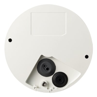 Купольная IP камера на 2 МП с фиксированным объективом 4 мм и ИК подсветкой