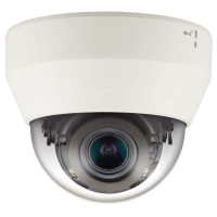 Купольная IP камера с моторизированным зум-объективом и ИК подсветкой