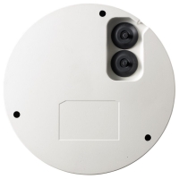Уличная купольная IP камера с моторизированным зум-объективом и ИК подсветкой