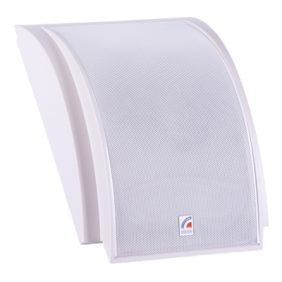 Громкоговоритель настенный широкополосный  WP-06T