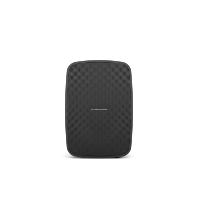 Всепогодный двухполосный громкоговоритель OSR608TBL