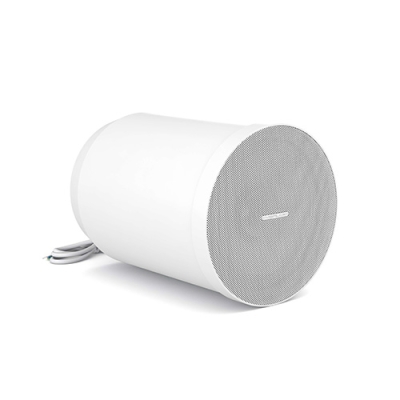 Подвесной широкополосный громкоговоритель SPC6TW