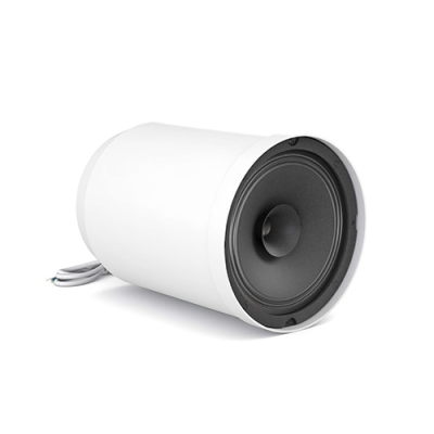 Подвесной широкополосный громкоговоритель SPC6TW