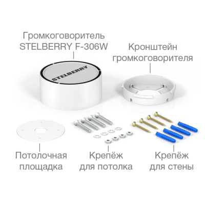 Активный накладной широкополосный громкоговоритель F-306W