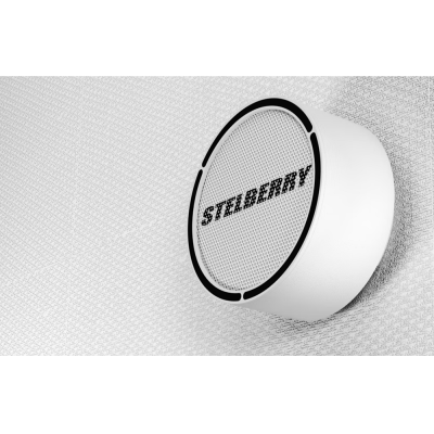 Активный накладной широкополосный громкоговоритель F-306W