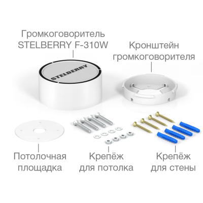Активный накладной широкополосный громкоговоритель F-310W