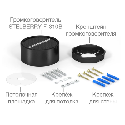 Активный накладной широкополосный громкоговоритель F-310B