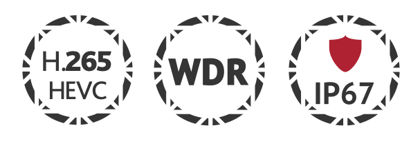 Особенности TRASSIR TR-D2153IR6 2.7-13.5