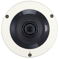 Купольная IP камера «рыбий глаз» с ИК подсветкой