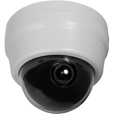 Купольная IP-камера (снят с производства)