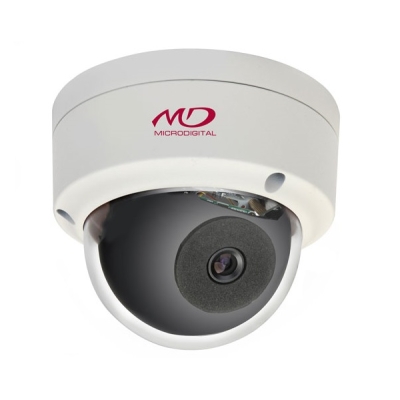Купольная IP-камера (снята с производства)