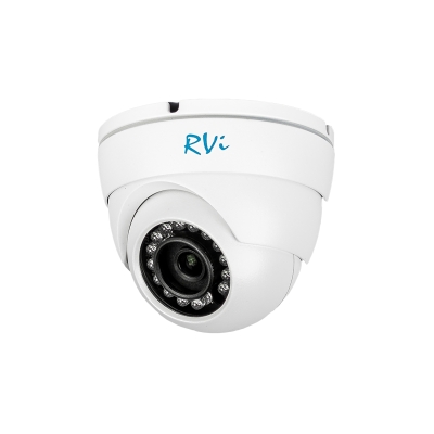 Антивандальная IP-камера (снято с производства)