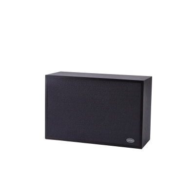 Настенный громкоговоритель DSP-406
