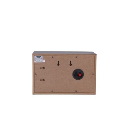Настенный громкоговоритель DSP-406