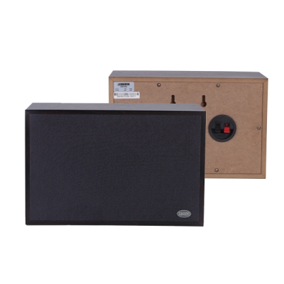 Настенный громкоговоритель DSP-406