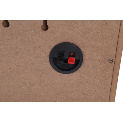 Настенный громкоговоритель DSP-406