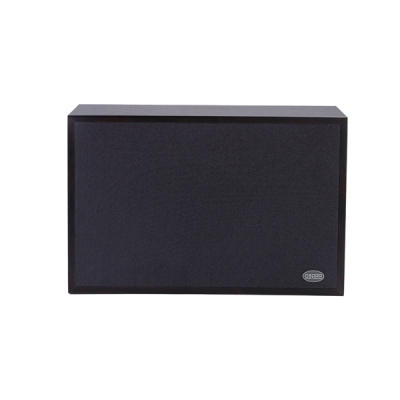 Настенный громкоговоритель DSP-406