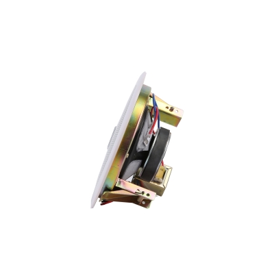 Потолочный громкоговоритель DSP-501