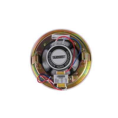 Потолочный громкоговоритель DSP-501