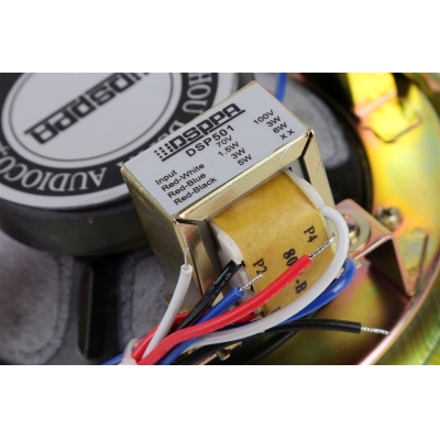 Потолочный громкоговоритель DSP-501