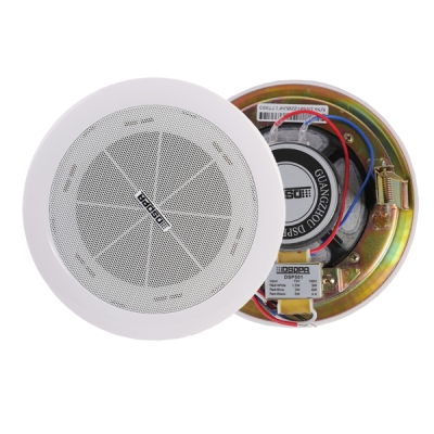 Потолочный громкоговоритель DSP-501