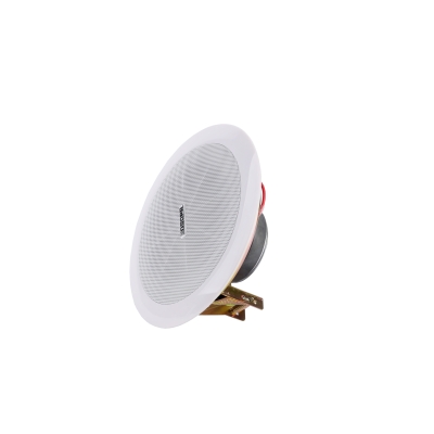 Потолочный громкоговоритель DSP-501