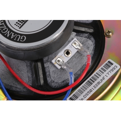 Потолочный громкоговоритель DSP-501