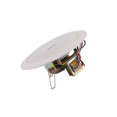 Потолочный громкоговоритель DSP-502