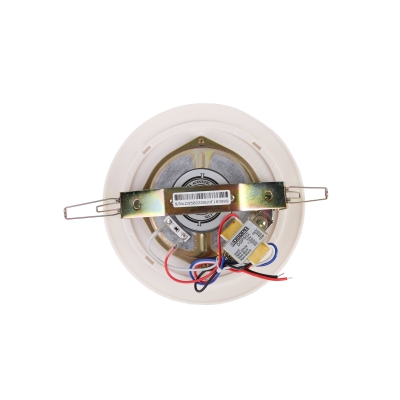 Потолочный громкоговоритель DSP-502
