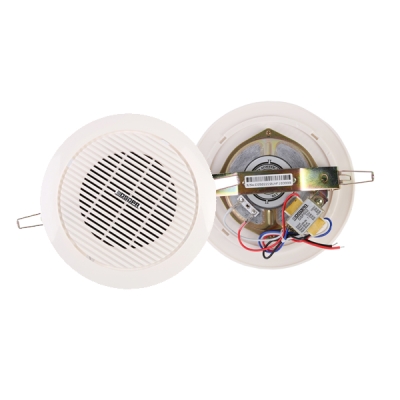 Потолочный громкоговоритель DSP-502