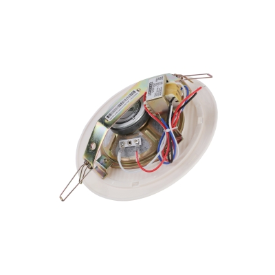 Потолочный громкоговоритель DSP-502
