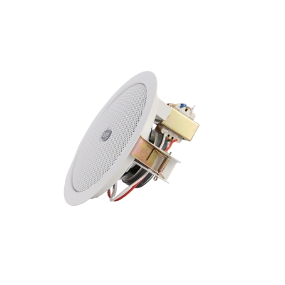 Потолочный громкоговоритель DSP-503