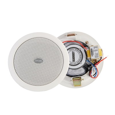 Потолочный громкоговоритель DSP-503