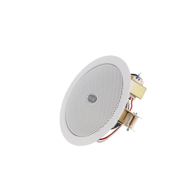 Потолочный громкоговоритель DSP-503