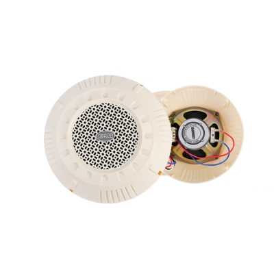Потолочный громкоговоритель DSP-504