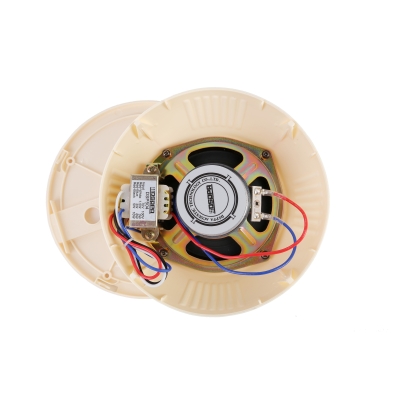 Потолочный громкоговоритель DSP-504