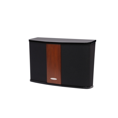 Настенный громкоговоритель DSP-506