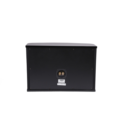 Настенный громкоговоритель DSP-506
