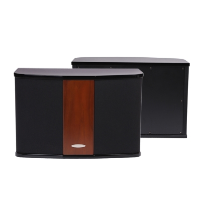 Настенный громкоговоритель DSP-506