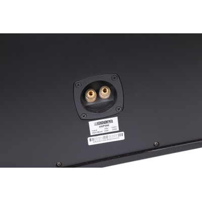 Настенный громкоговоритель DSP-506