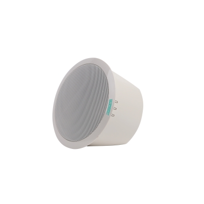 Потолочный громкоговоритель DSP-602