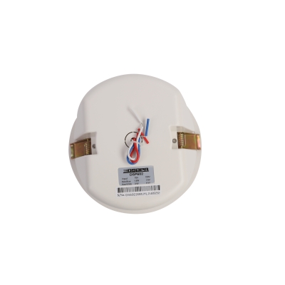 Потолочный громкоговоритель DSP-602