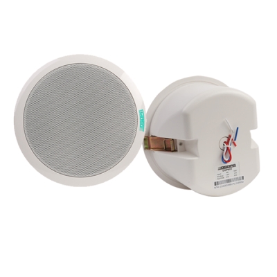 Потолочный громкоговоритель DSP-602