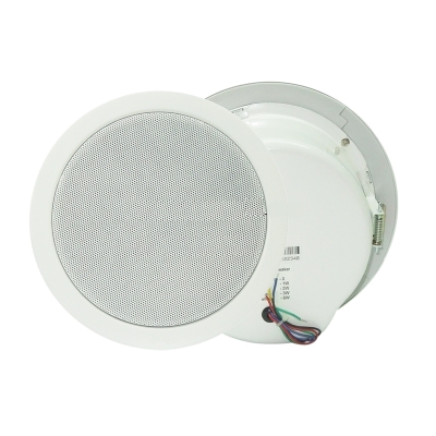 Потолочный громкоговоритель DSP-662