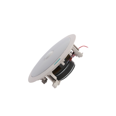 Потолочный громкоговоритель DSP-703