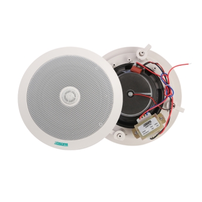 Потолочный громкоговоритель DSP-703