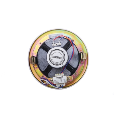 Потолочный громкоговоритель DSP-802