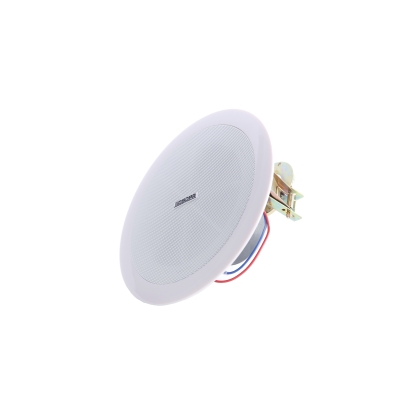 Потолочный громкоговоритель DSP-802