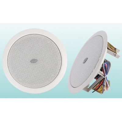 Потолочный громкоговоритель DSP-803