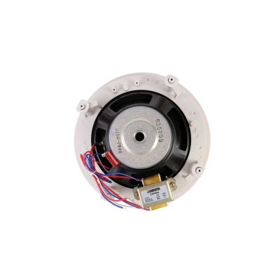 Потолочный громкоговоритель DSP-804